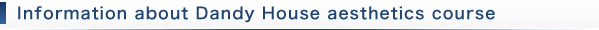 Introduction to DANDY HOUSE Beauty Treatments