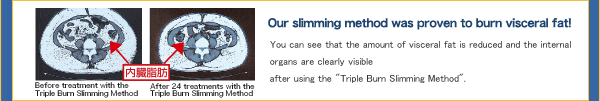 Our slimming method was proven to burn visceral fat!